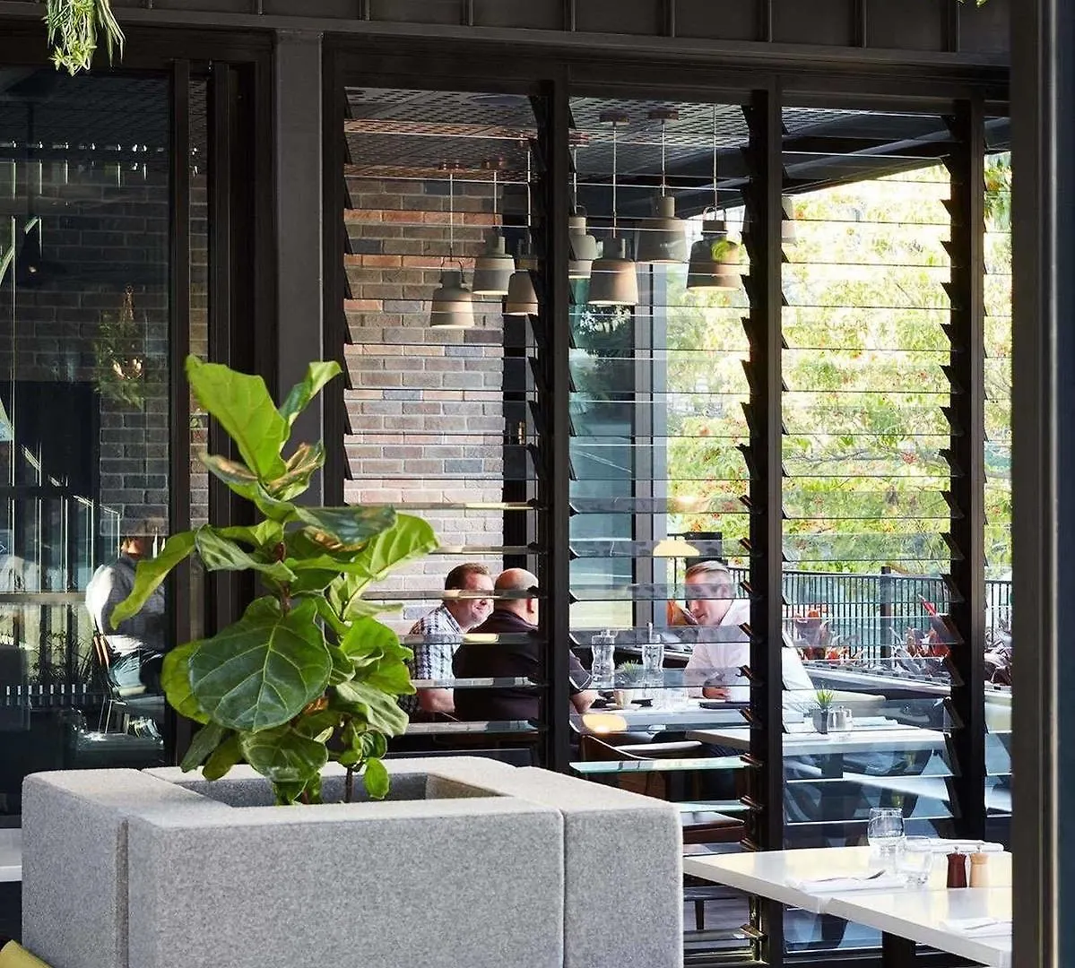 The Johnson Brisbane - Art Series